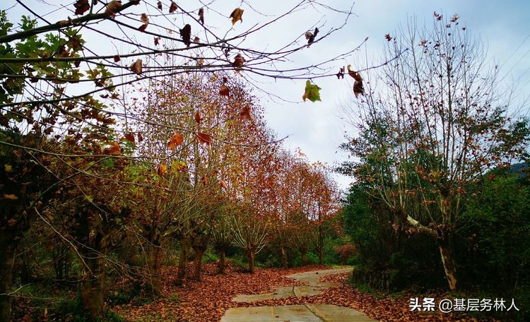 云南澄江兵工厂,云南兵工厂旧址