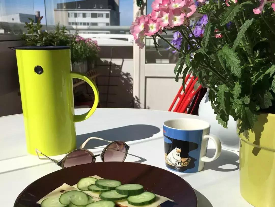 stelton水壶,北欧风水壶推荐哪款