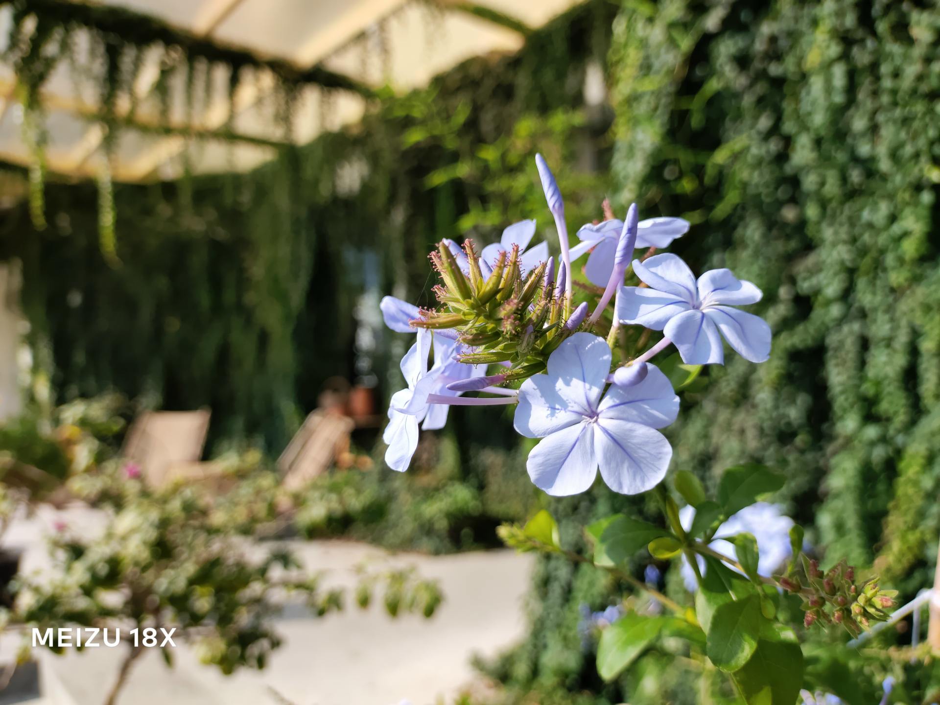 为一部手机的颜值买单魅族18x,魅族18x曝光汇总凭实力说话