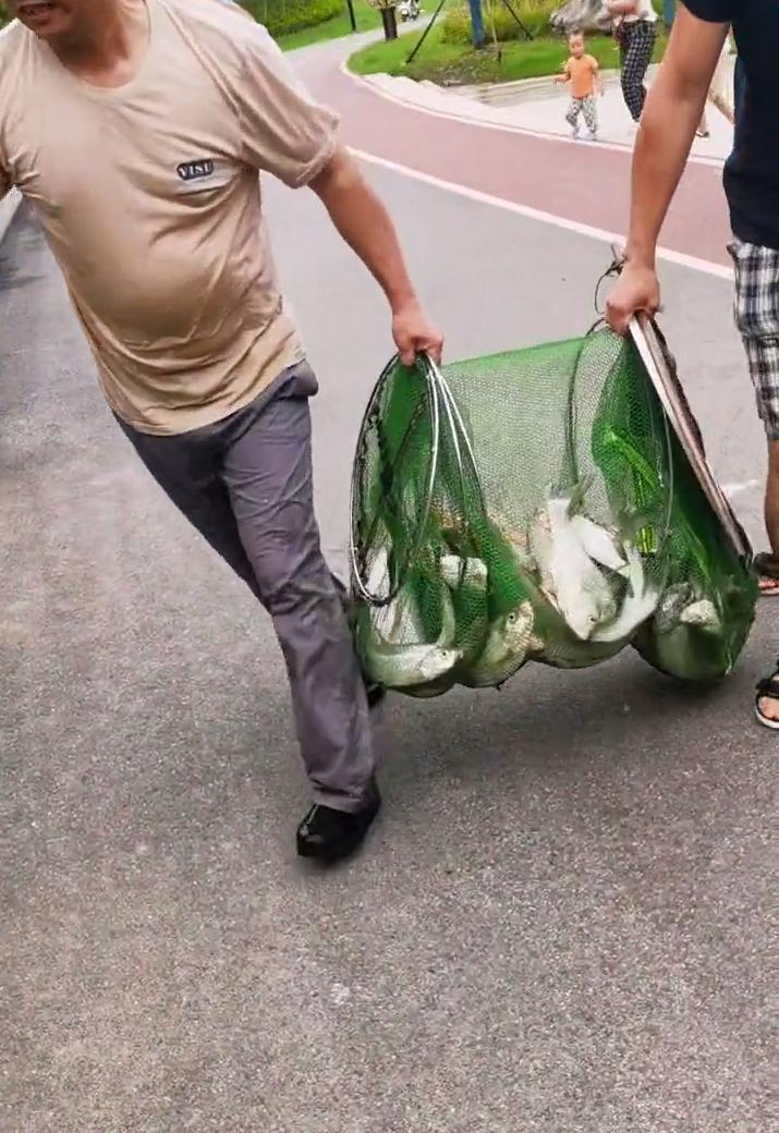 翘嘴泛滥成灾邀请各地钓友,水库开闸放水引来捞鱼大军