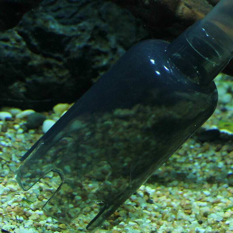 怎么清洗鱼缸底砂和水草泥,清洗鱼缸底部脏东西