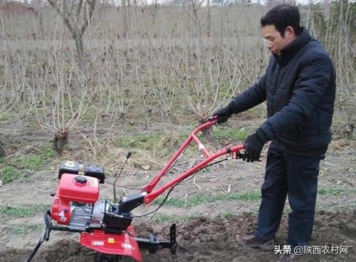 农村致富的4个商机,农村小投资利润大见效快的项目