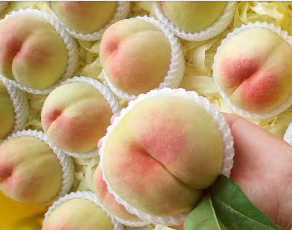 水蜜桃挑选全攻略让甜蜜满溢一夏,什么品种的水蜜桃最甜最好吃