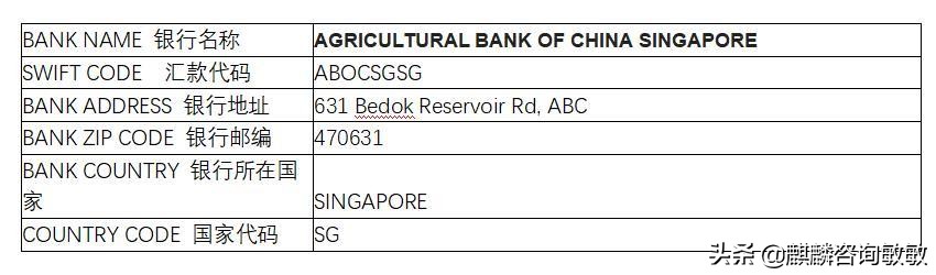新加坡汇款记录截图,新加坡华侨银行国际汇款识别码
