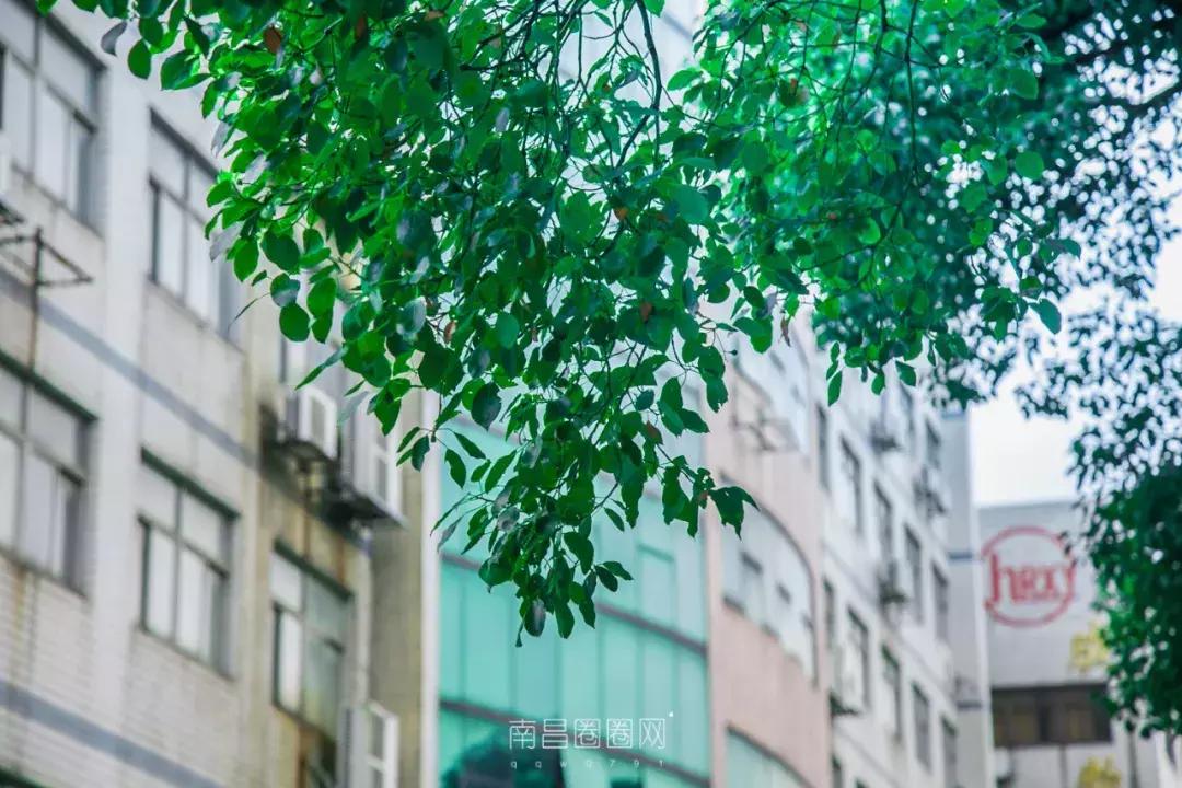 北京西路江西师大,南昌北京西路的师大附中