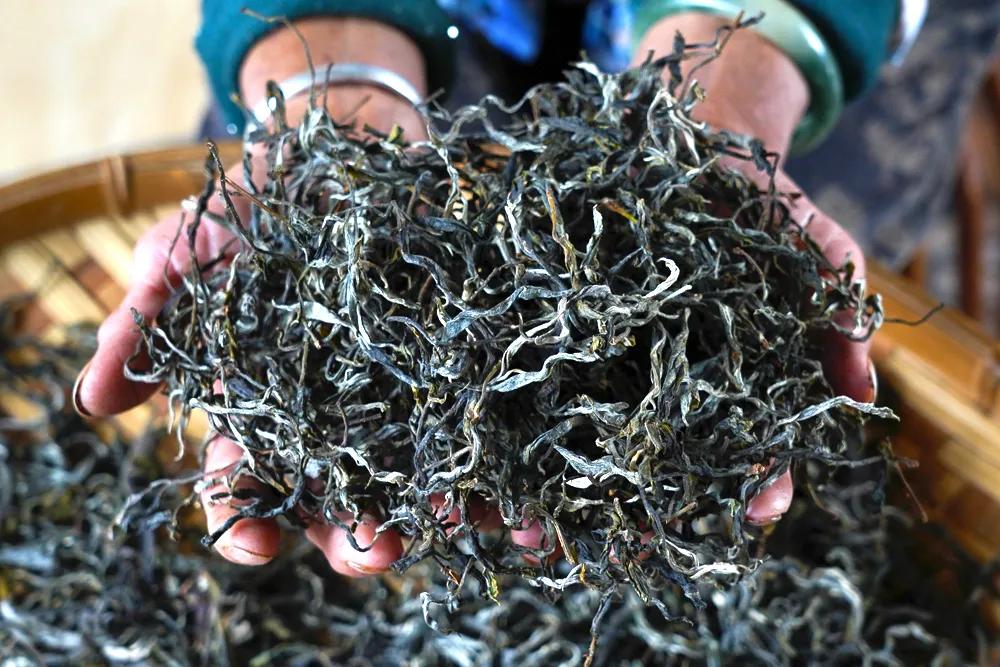 中国人喝真茶,为了喝一口好茶必须精益求精