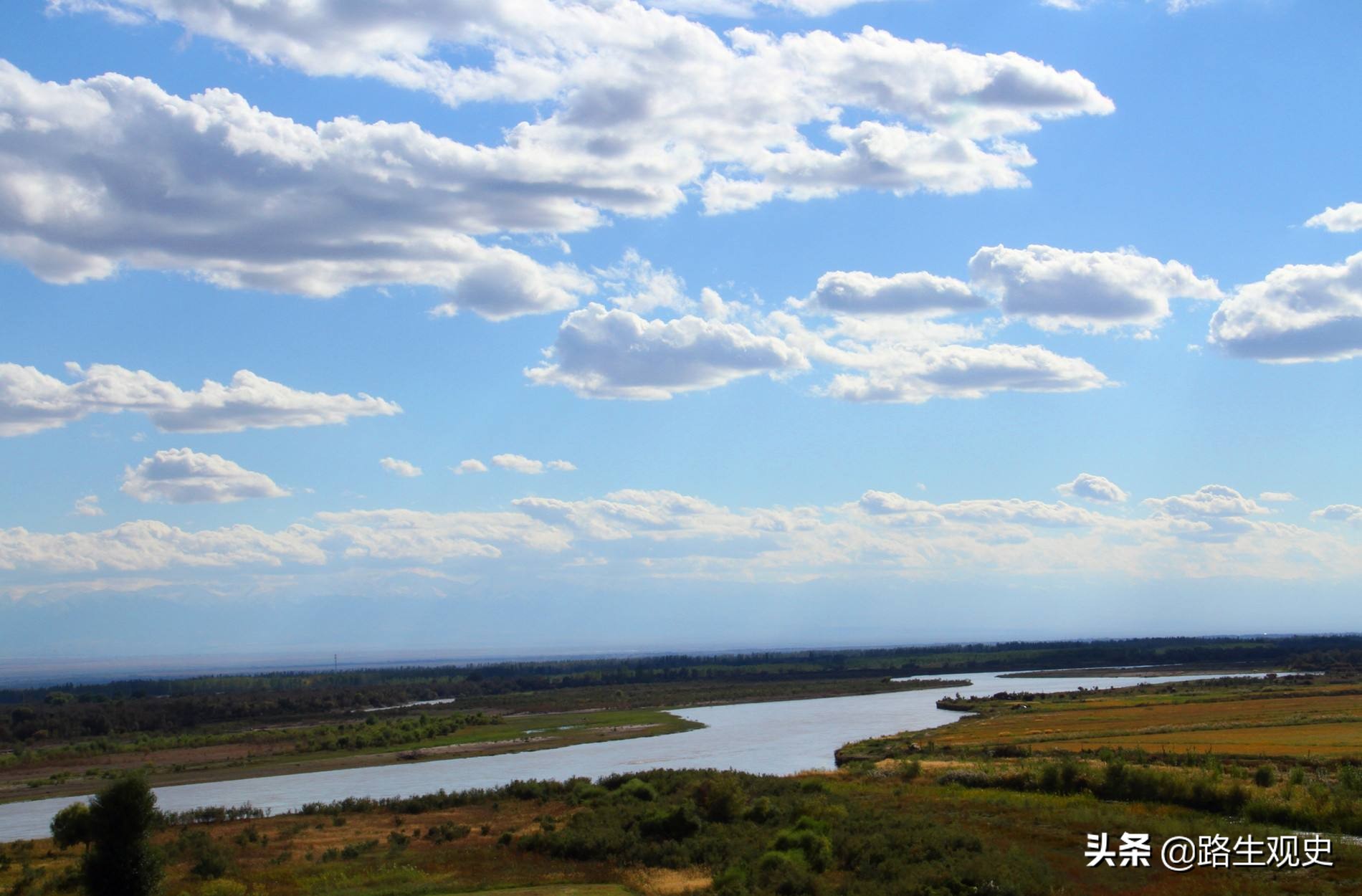 塞种人是雅利安人吗,塞种人简介