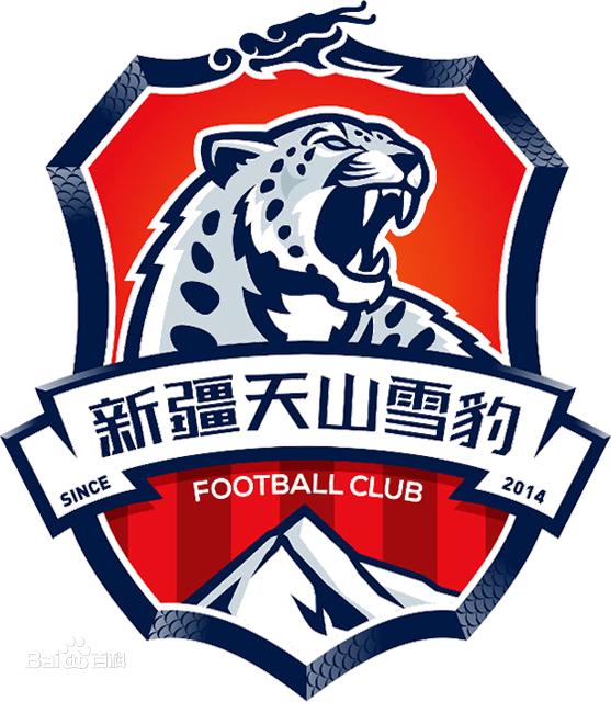 新疆雪豹中甲最新赛况,足协杯新疆vs恒大