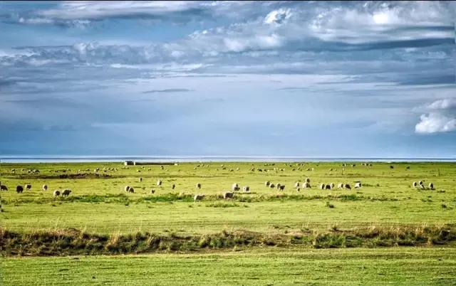 在公路旁随手一拍都是美景,中国有一条公路每一公里都是美景