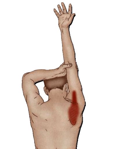 肩痛的原因及症状,突如其来的肩痛实在是难以忍受