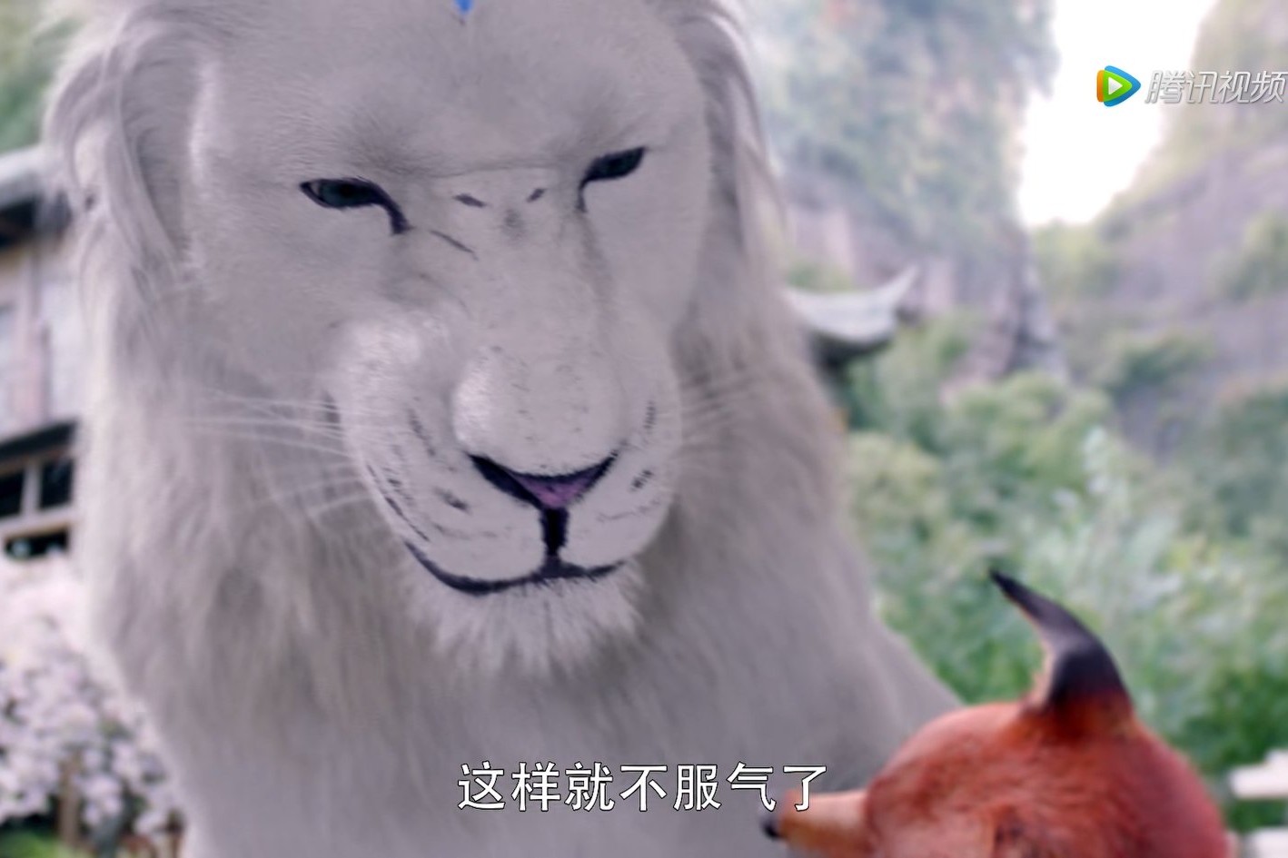 三生三世枕上书姬蘅掉入悬崖,三生三世枕上书姬衡是不是假失忆