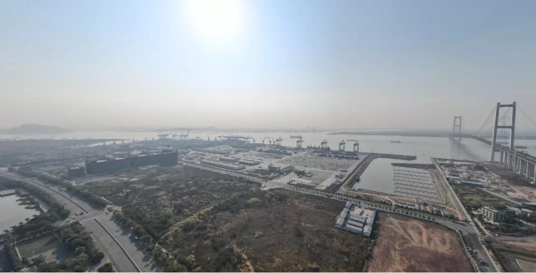 沙田韭菜聚集地，最像投资盘的投资盘