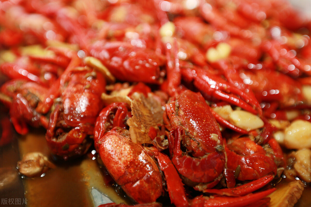 甲鱼和小龙虾养殖哪个更赚钱,水产养殖龙虾甲鱼