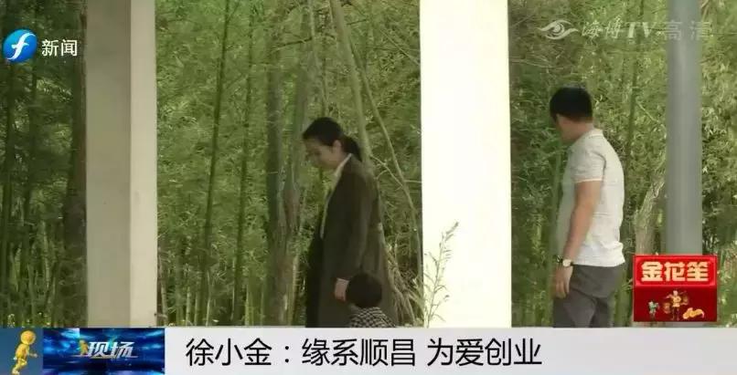 幸福的爱情模样,爱情幸福的模样1-40集免费观看