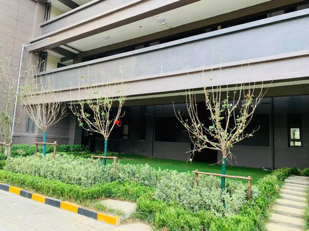 三人成虎感受到了什么,三人成虎口碑