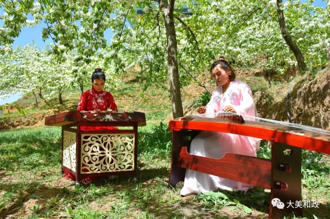 绿色和政春深夏浅风光好山美花浓待君来