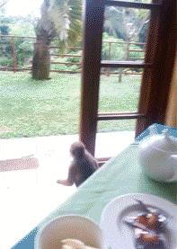 动图车贴搞笑,搞笑gif大哥你的驾驶室真拉风