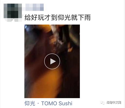 仰光雷雨，积水没过大腿，不少车子在水中“游”