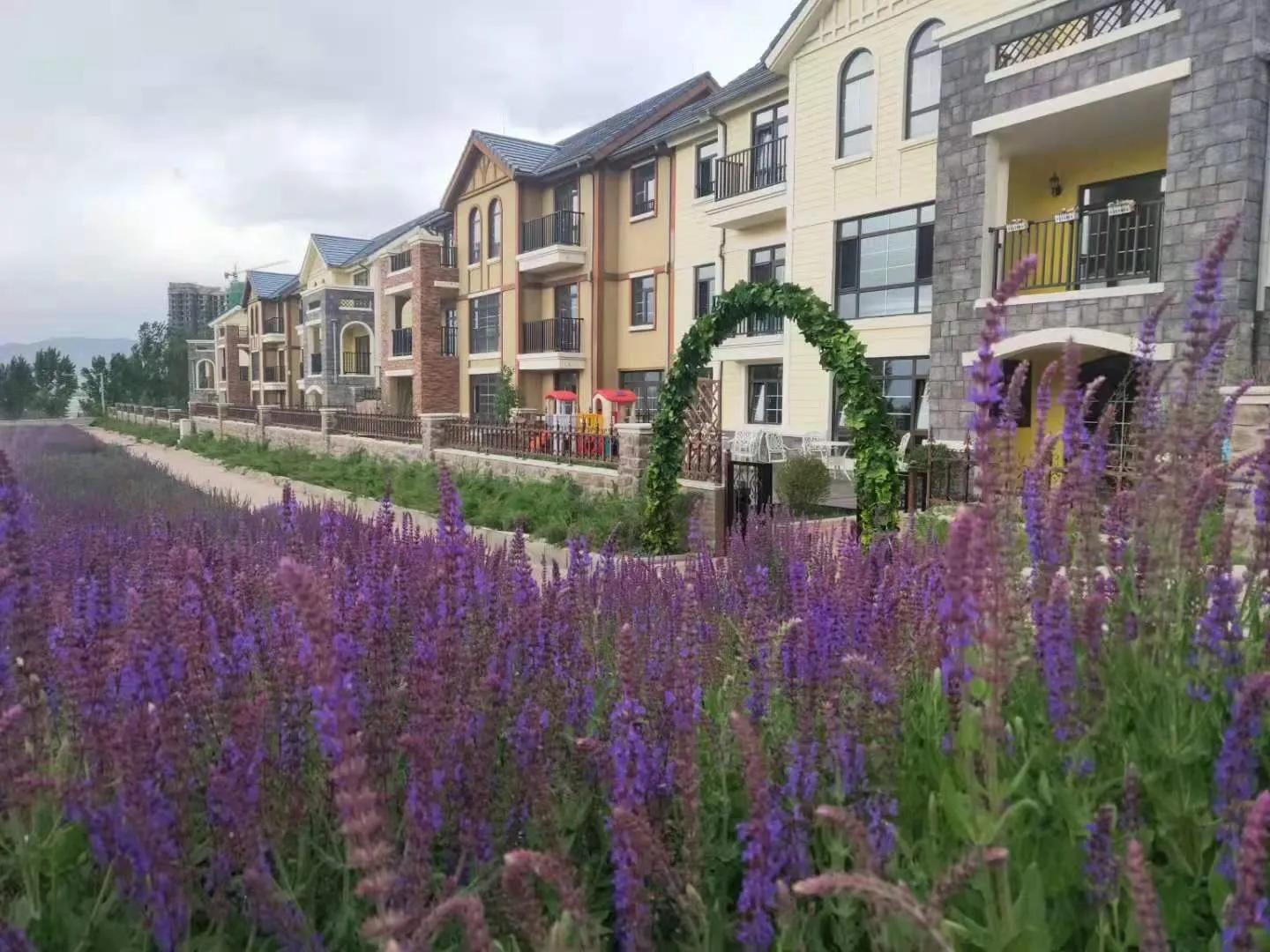 这是一个安静美丽的地方,这是一个人间烟火气的地方