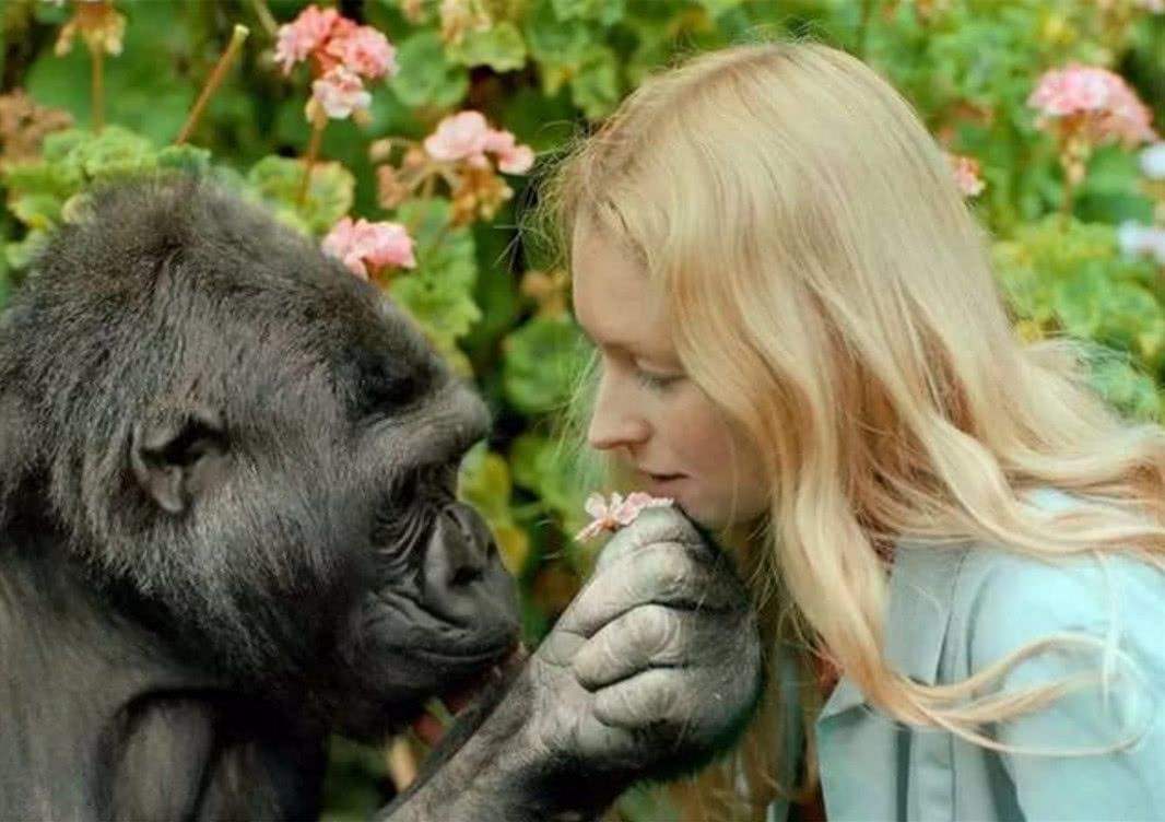 人类失去毛发的原因,人类为何全身几乎没有体毛