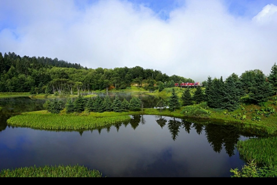 香格里拉适合工作吗,工作太累了想放松一下去哪里适合