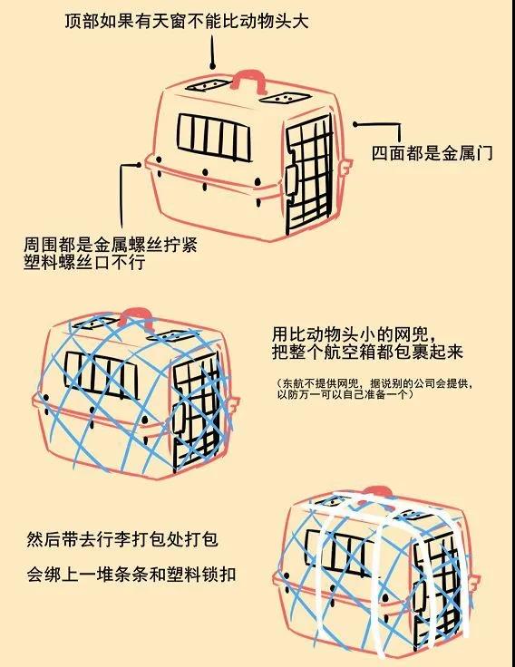 宠物托运都要带什么物品,春节长假到了宠物安全寄养全攻略