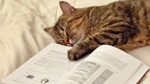 平讲平说：一读书就犯困这怎么办有四个重要的建议对每个人都适用