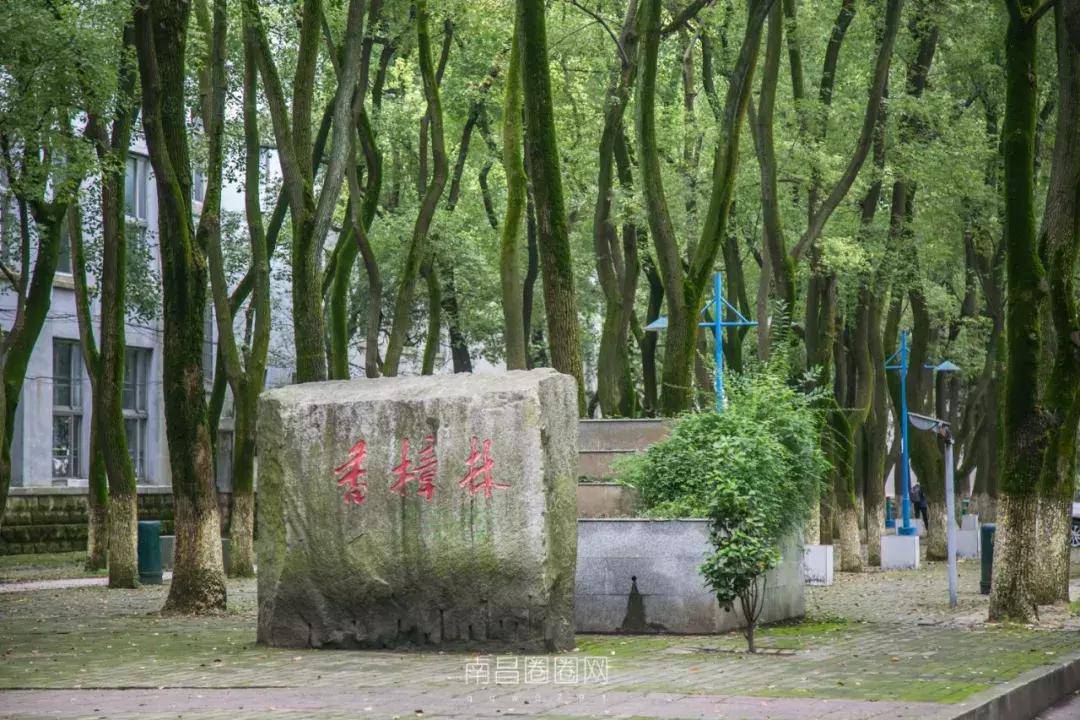 北京西路江西师大,南昌北京西路的师大附中