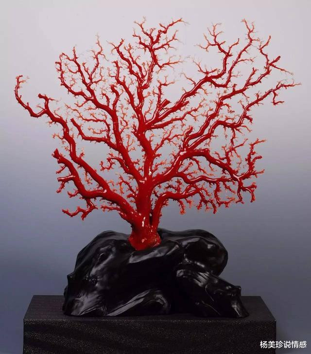 最残忍的十大文玩,带血的文玩有什么忌讳