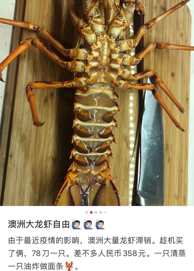 澳洲龙虾出口到中国多少钱一斤,澳洲龙虾进口批发市场