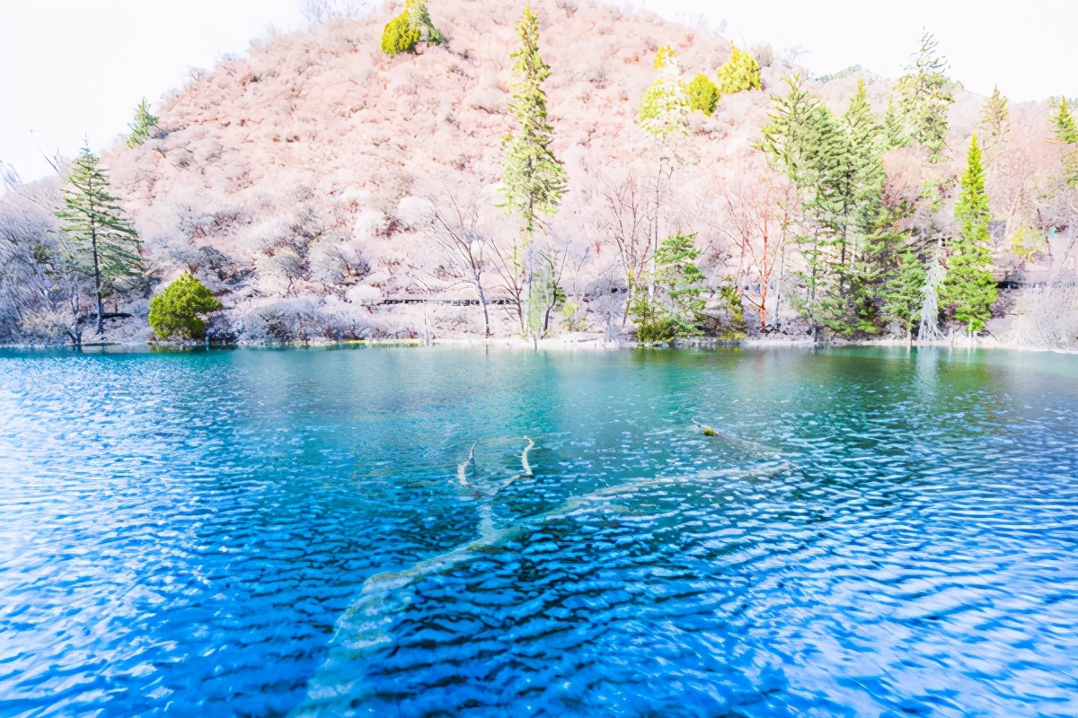 九寨沟最美的一处景点,九寨沟风景区好山好水好风光