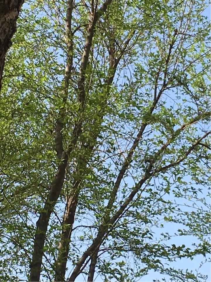 爱人40多年前就当了军嫂,爱人40集大结局