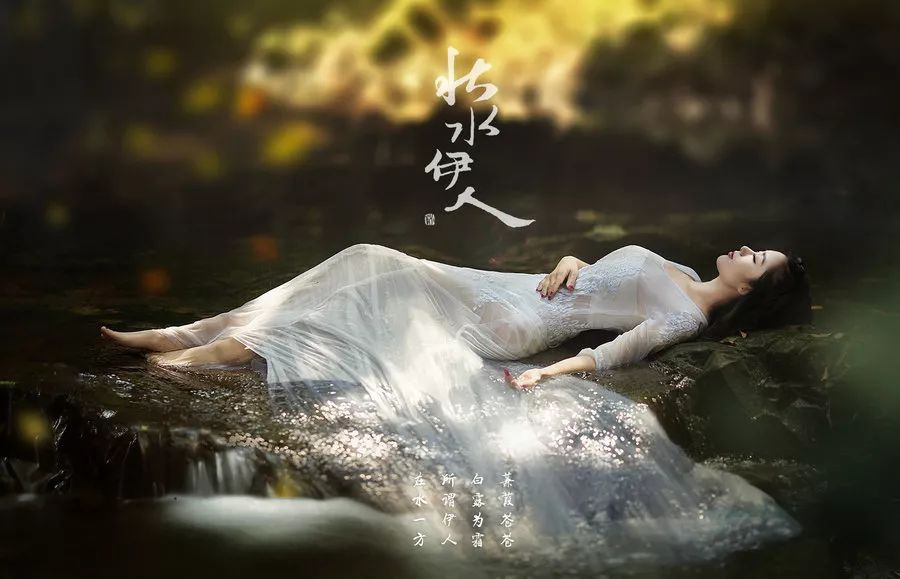 一曲非常柔美好听的秋水伊人,一曲秋水伊人