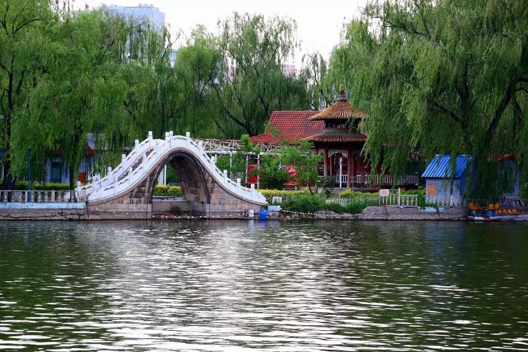 湛江好消息视频,2024年湛江直飞航线