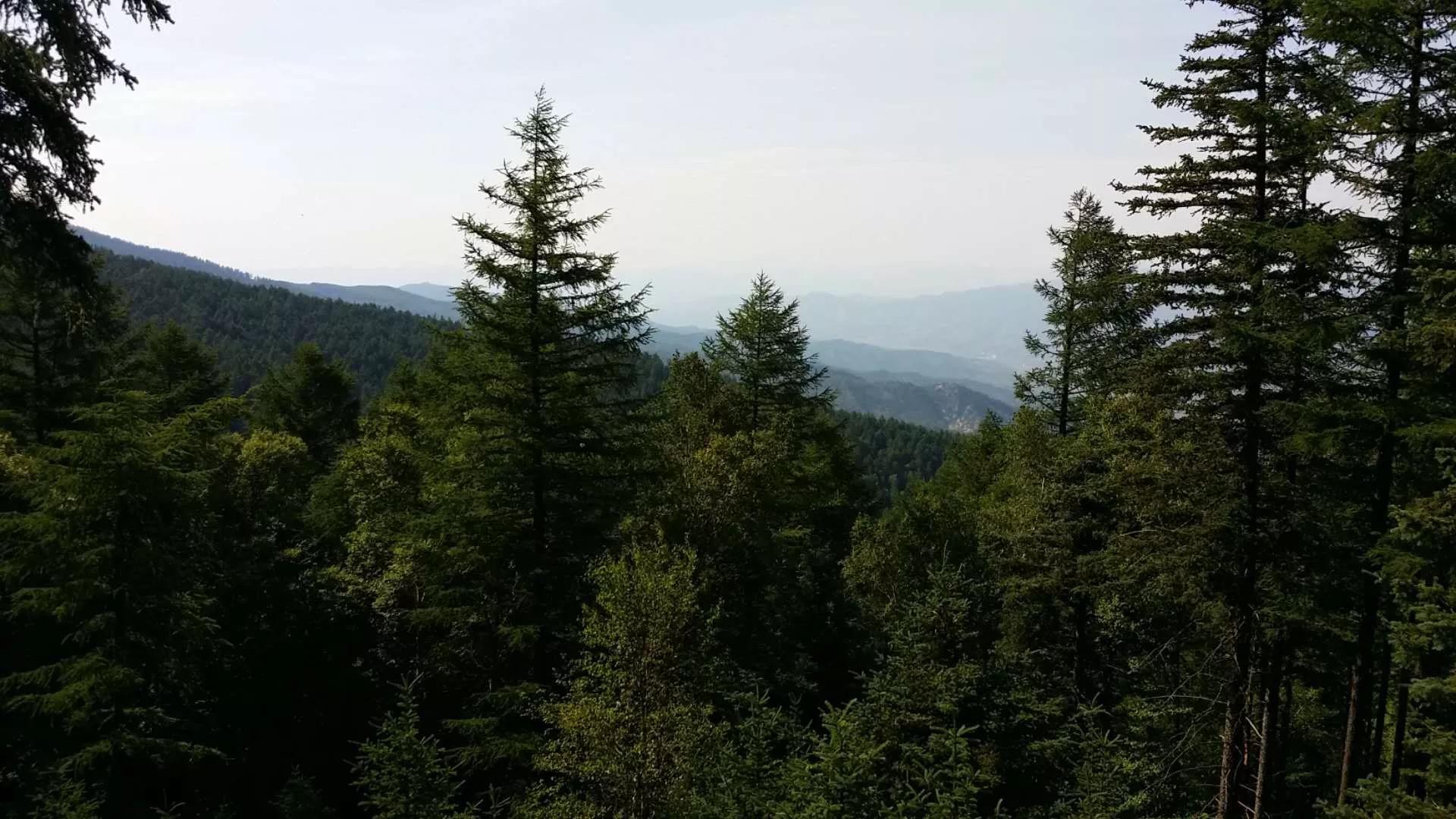 南阳沟景区,南阳沟旅游区