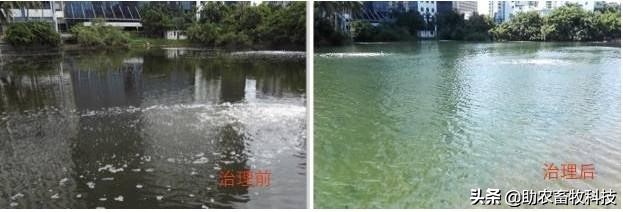 鱼塘水质差用什么改善水质,鱼塘流入养殖场废水如何处理