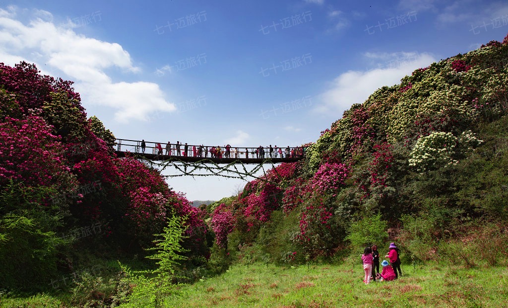 贵州景点自驾地图全图最新,贵州旅游攻略一览表
