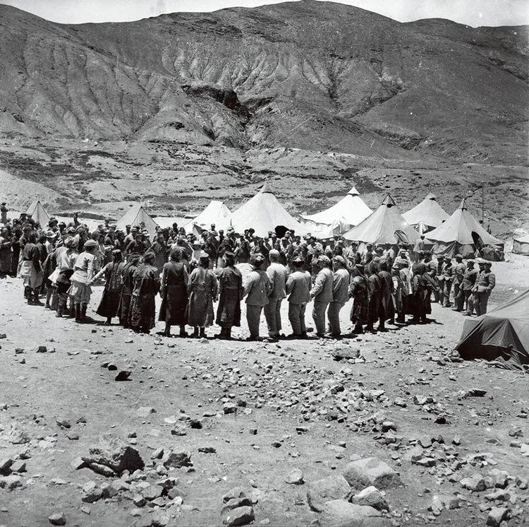 杨星火采访完整视频,杨星火电视剧全集