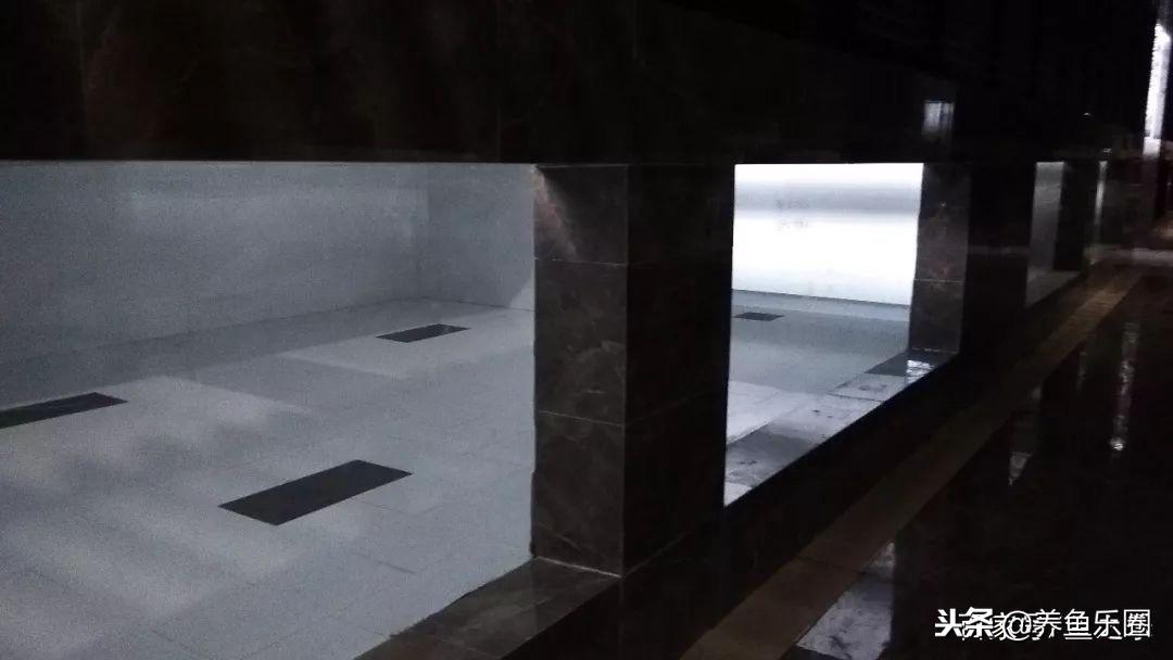 这位土豪家的渔场,光滤材就花了500多万,你确定不要见识一下?