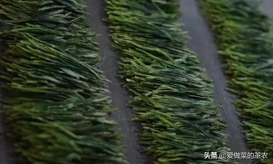 喝茶时喝到茶叶不同的反应,喝茶看叶底看的是什么