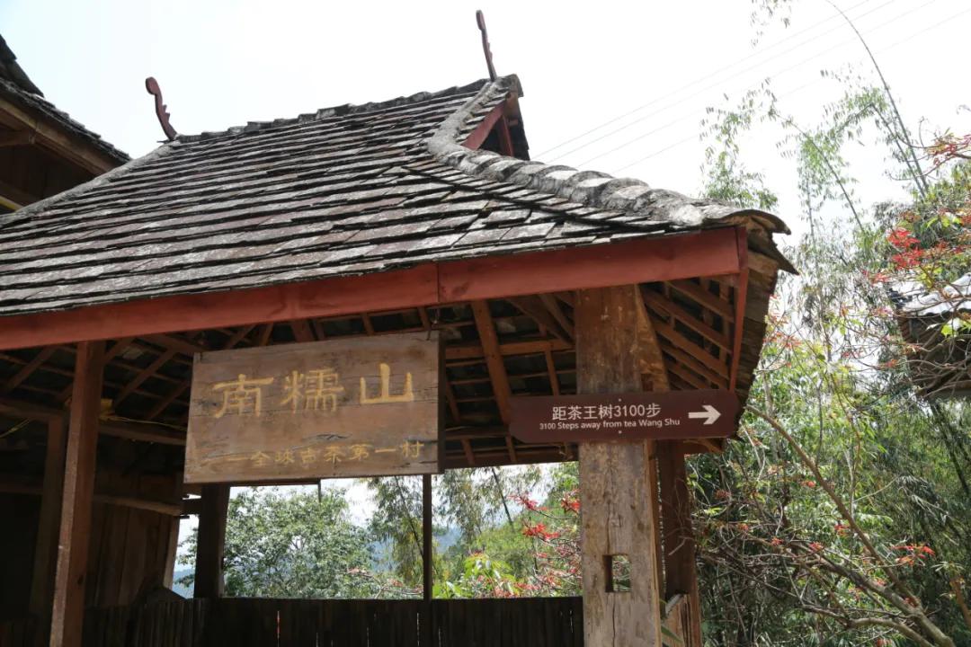 「茗边聚焦七彩云南·庆沣祥系列报道之③」浅谈百山百味