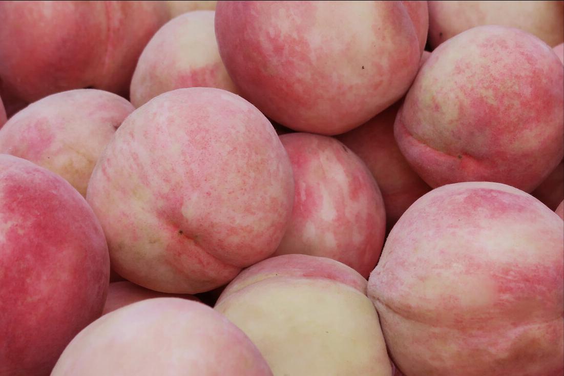 脆桃子怎么挑选,新鲜桃子脆又甜