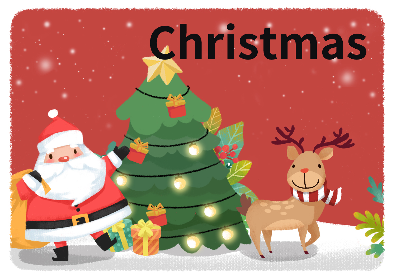 圣诞植物大全,圣诞节植物