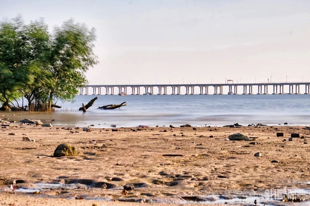 坐地铁1号线攻略,深圳1号线游玩攻略免费