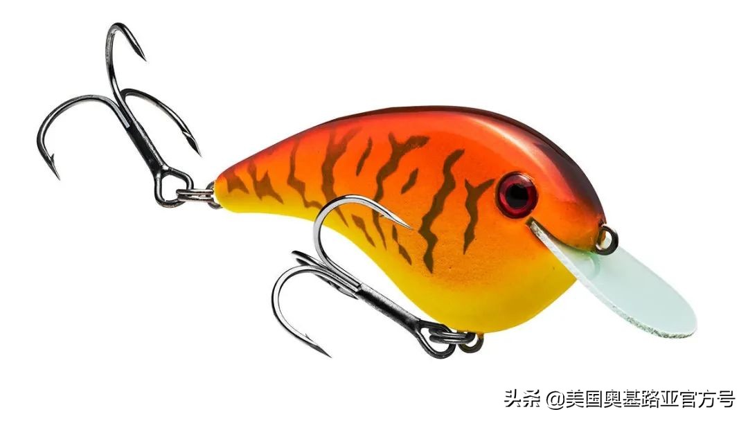 全国渔具展会2021时间表图片,2023国际渔具展会大全一览表