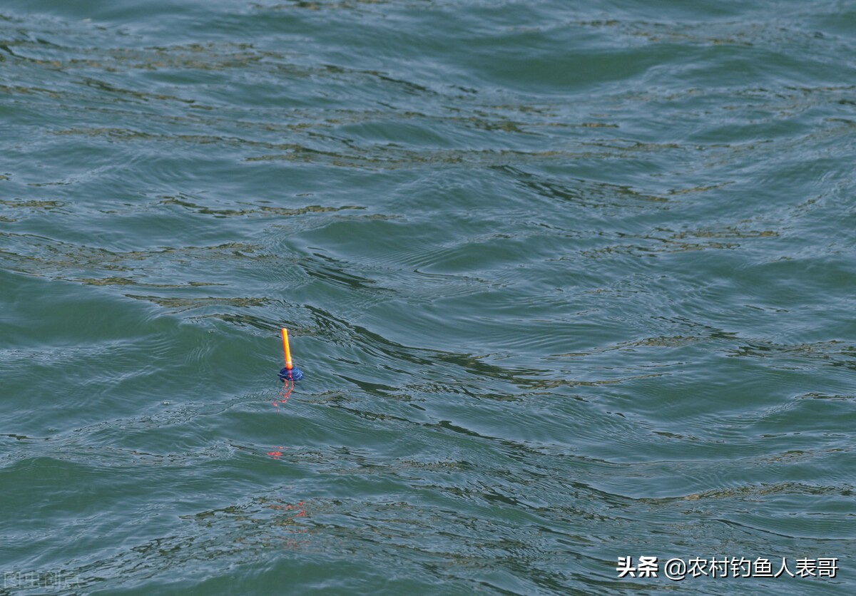 夏天鱼难钓的方法,夏季老钓位鱼怎么钓