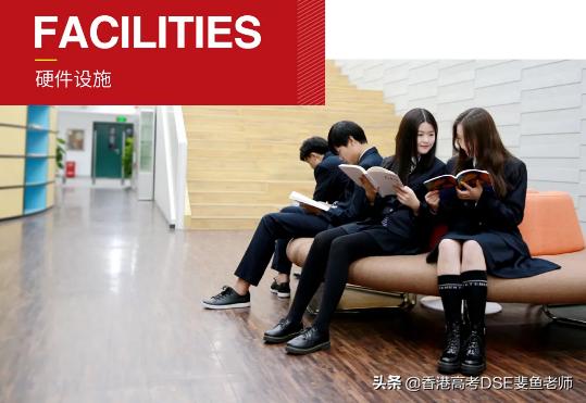 鲸帆dse国际,鲸帆dse国际学校创作人