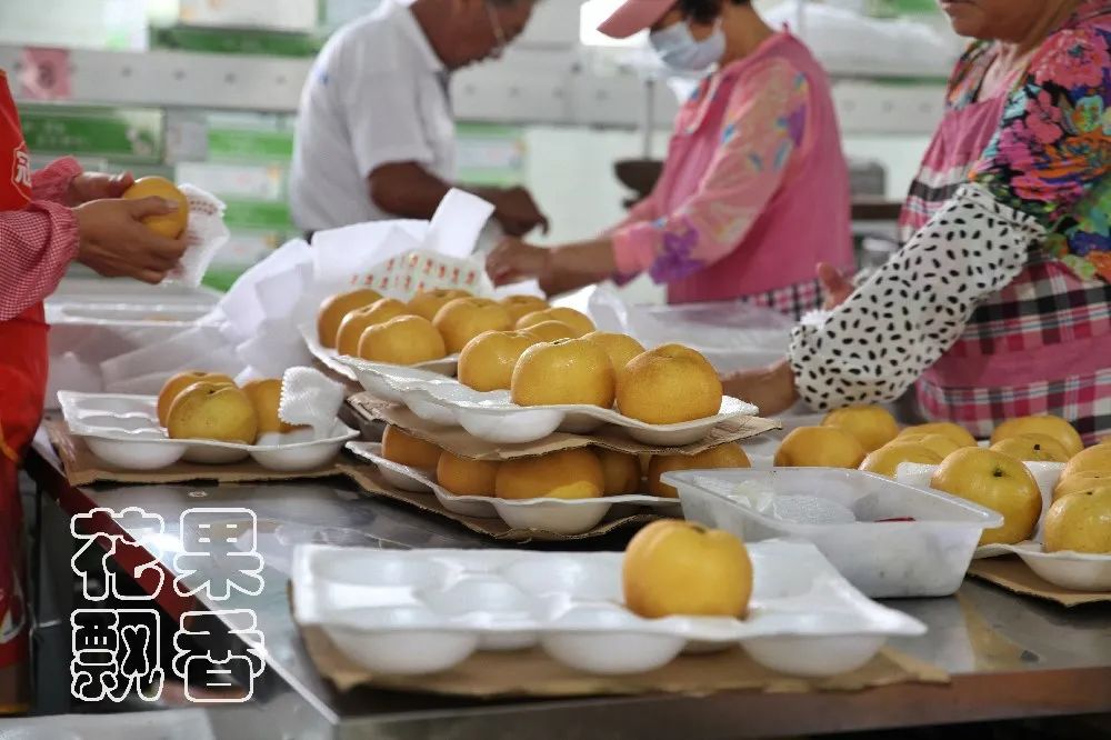 一位企业家的成功之路,企业家要有仰望星空的格局与胸襟