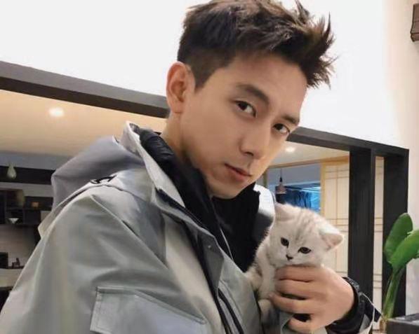 男明星为何喜欢养猫,为什么都说男生不能养猫