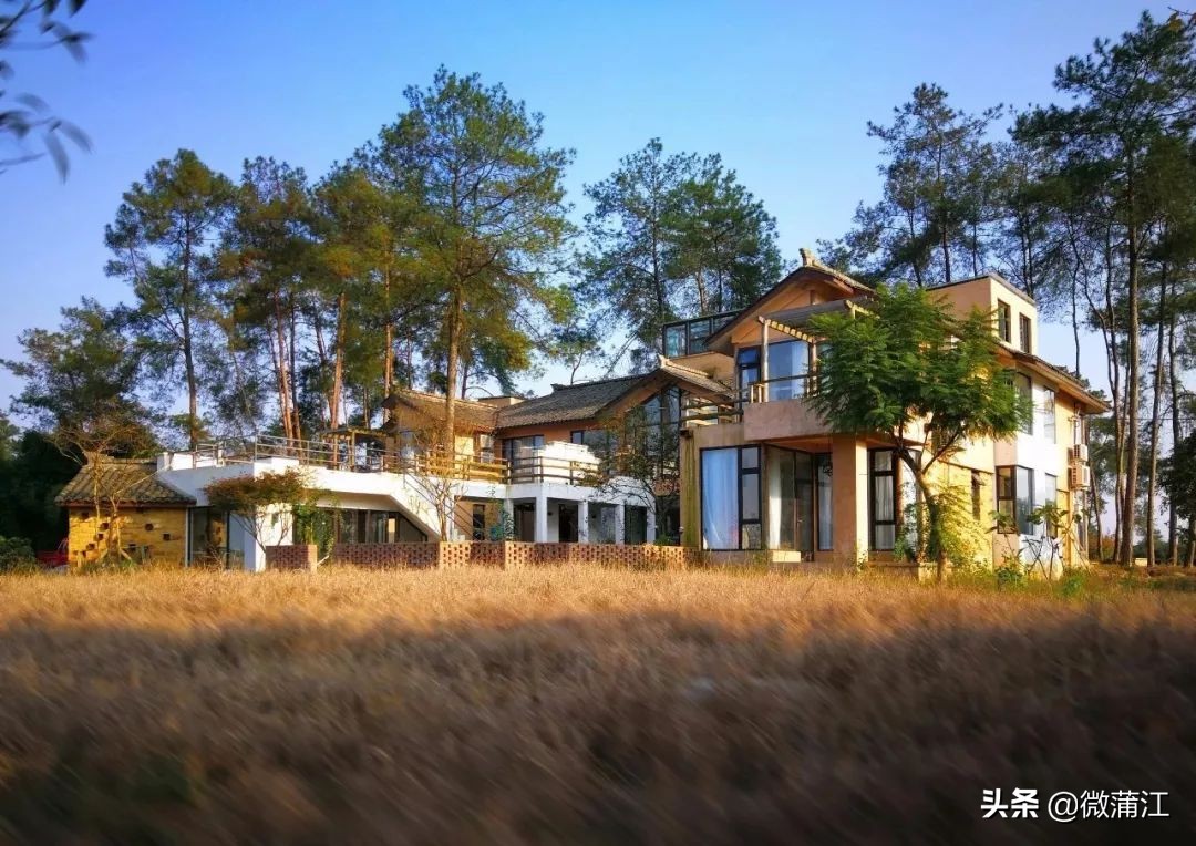 探访深山竹林倍感神清气爽,蒲江遥望雪山感受诗意栖居